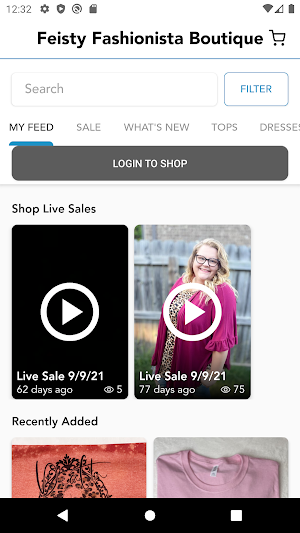 Feisty Fashionista Boutique Screenshot 1