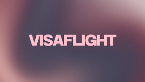 VisaFlight Screenshot 2
