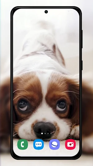 Puppy wallpaper background Screenshot 2