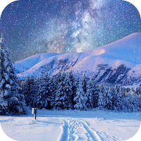 Winter Wallpaper