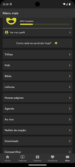 IBRM Screenshot 2