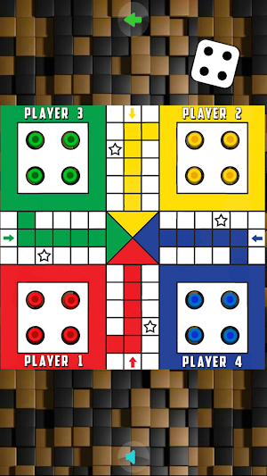 Ludo 2 3 4 Offline Multiplayer Screenshot 0