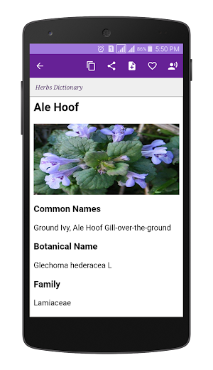 Herbs Dictionary Screenshot 0