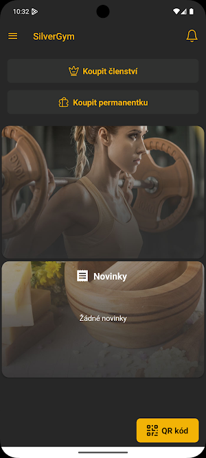 SilverGym Screenshot 0