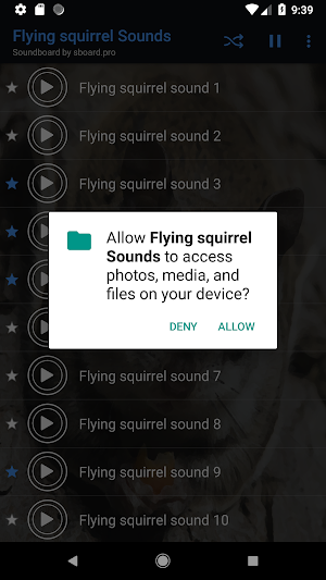 Flying squirrel sounds ~ Sboard.pro Screenshot 1