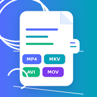 Video Formats Guide