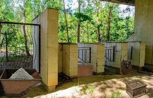 Escape Game - Nature Screenshot 3