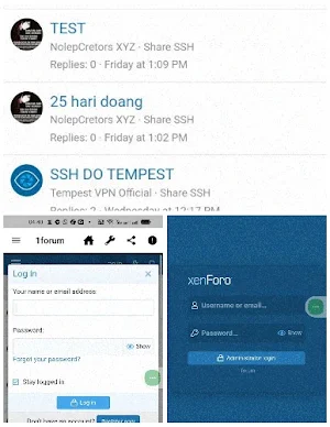 1forum Screenshot 2