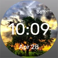 Lonely Tree - Watch Face