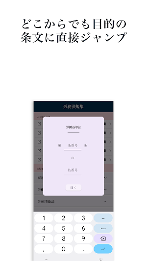 労務法規集：労務に特化したプロフェッショナル用六法 Screenshot 1