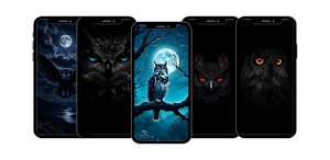 Night Owl Wallpapers HD Screenshot 1