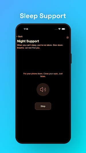 XinBridge Screenshot 2