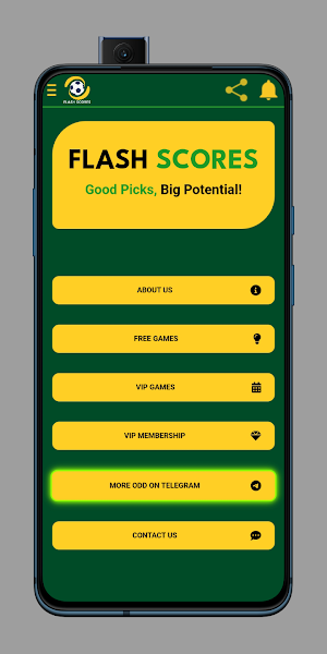Flash Scores Screenshot 0