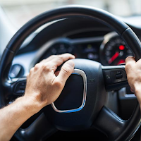 Car Horn Sounds