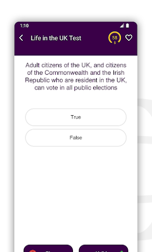 Life in the UK Test Screenshot 2