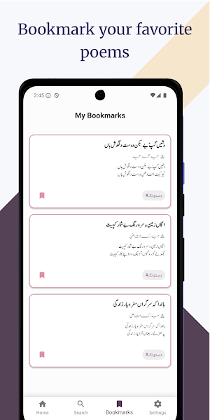 Dastunk o Lacchah-دستونکءُ لچہ Screenshot 3