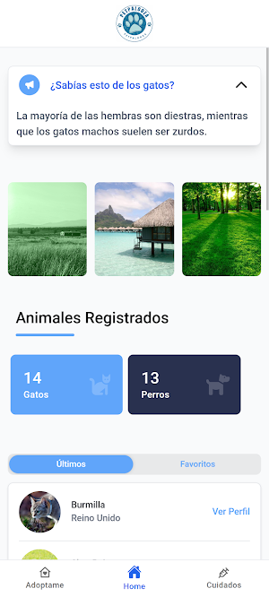 PetPalooza Screenshot 1