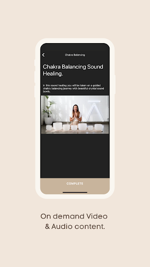 SALA Screenshot 2