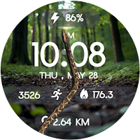 3D Snake on Screen Watch Face