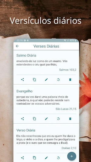 Bíblia Ave Maria Screenshot 2
