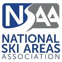 NSAA: DEI 101