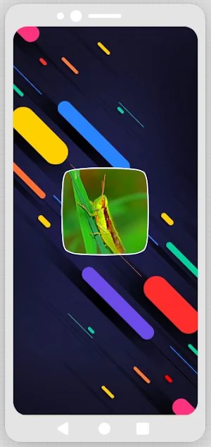 Cricket Sounds Screenshot 0