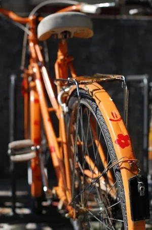 Giant Bicycle Wallpapers Screenshot 2