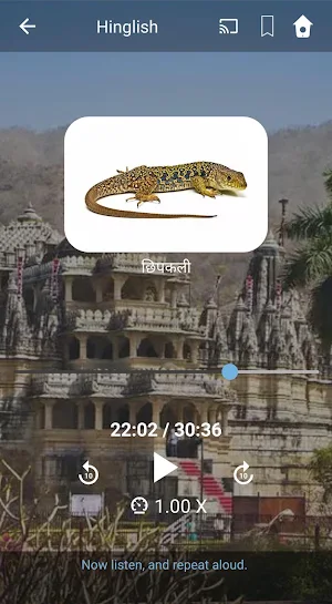 Learn Hinglish. Speak Hinglish Screenshot 3