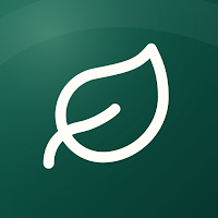 Meliorly: AI Habit Coach