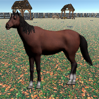 Horse simulator