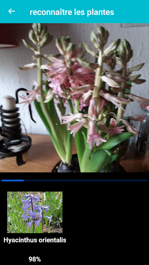 Plants and Flowers Identification Screenshot 2