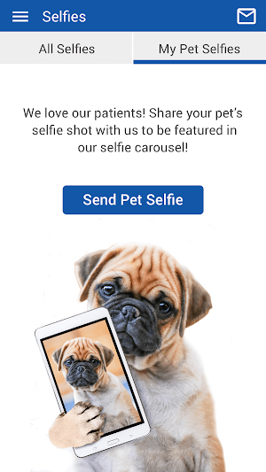 Ark Animal Hospital Screenshot 3