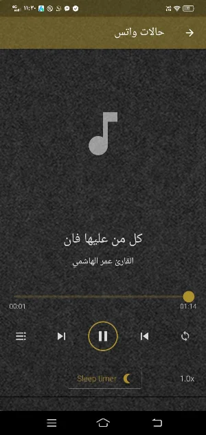 القارئ عمر الهاشمي MP3 بدون نت Screenshot 1