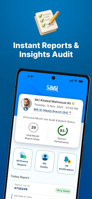 SAAL Falcon Screenshot 2