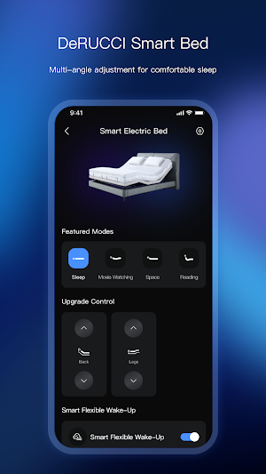 DeRUCCI AI Screenshot 2
