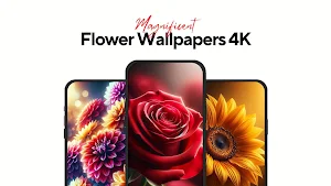 Flower Wallpapers Rose 4K - HD Screenshot 0