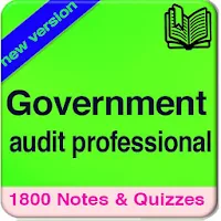 Government audit professional 