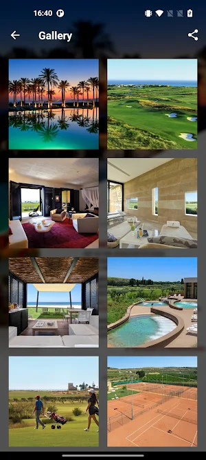 Verdura Screenshot 1