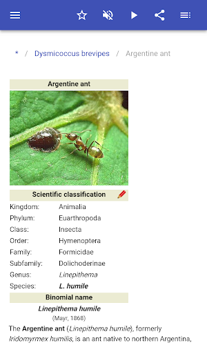 Insect pests Screenshot 2