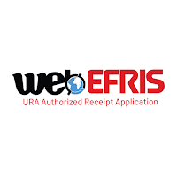 WEB EFRIS