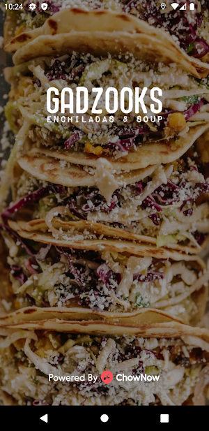 Gadzooks Enchiladas & Soup Screenshot 0