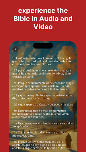 BibleLingua: Language Lessons Screenshot 3