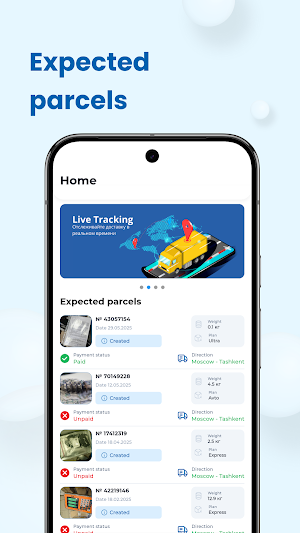 Ethno Logistics Screenshot 2