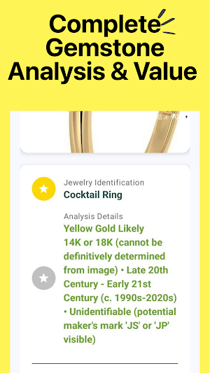 Jewelry Identifier - Gem id Screenshot 2