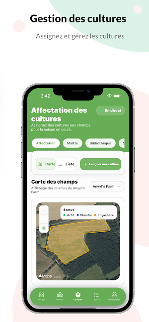 Anyyl Screenshot 3