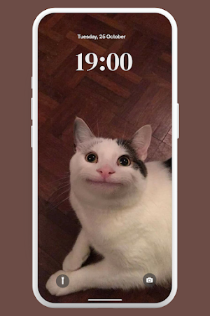 Funny Lol Wallpaper 4K Screenshot 2