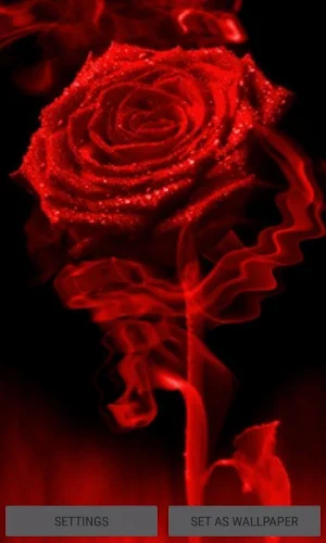 Fiery Red Rose LWP Screenshot 0