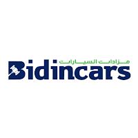 BidinCars Auctions