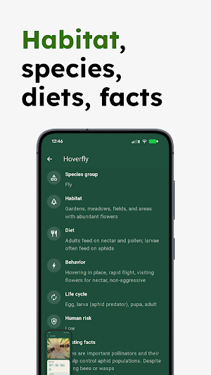 Insect Identifier - Insectr Screenshot 3