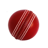 Cricket Simulator